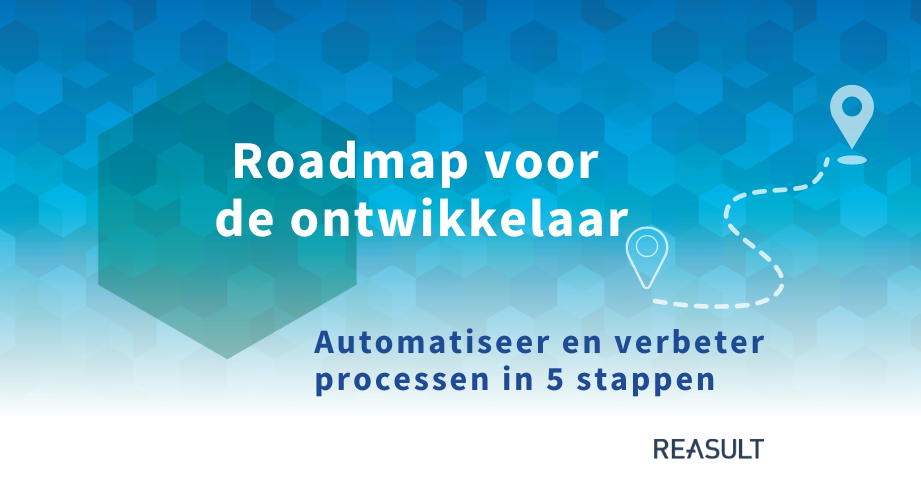 WP website roadmap ontwikkelaar-1